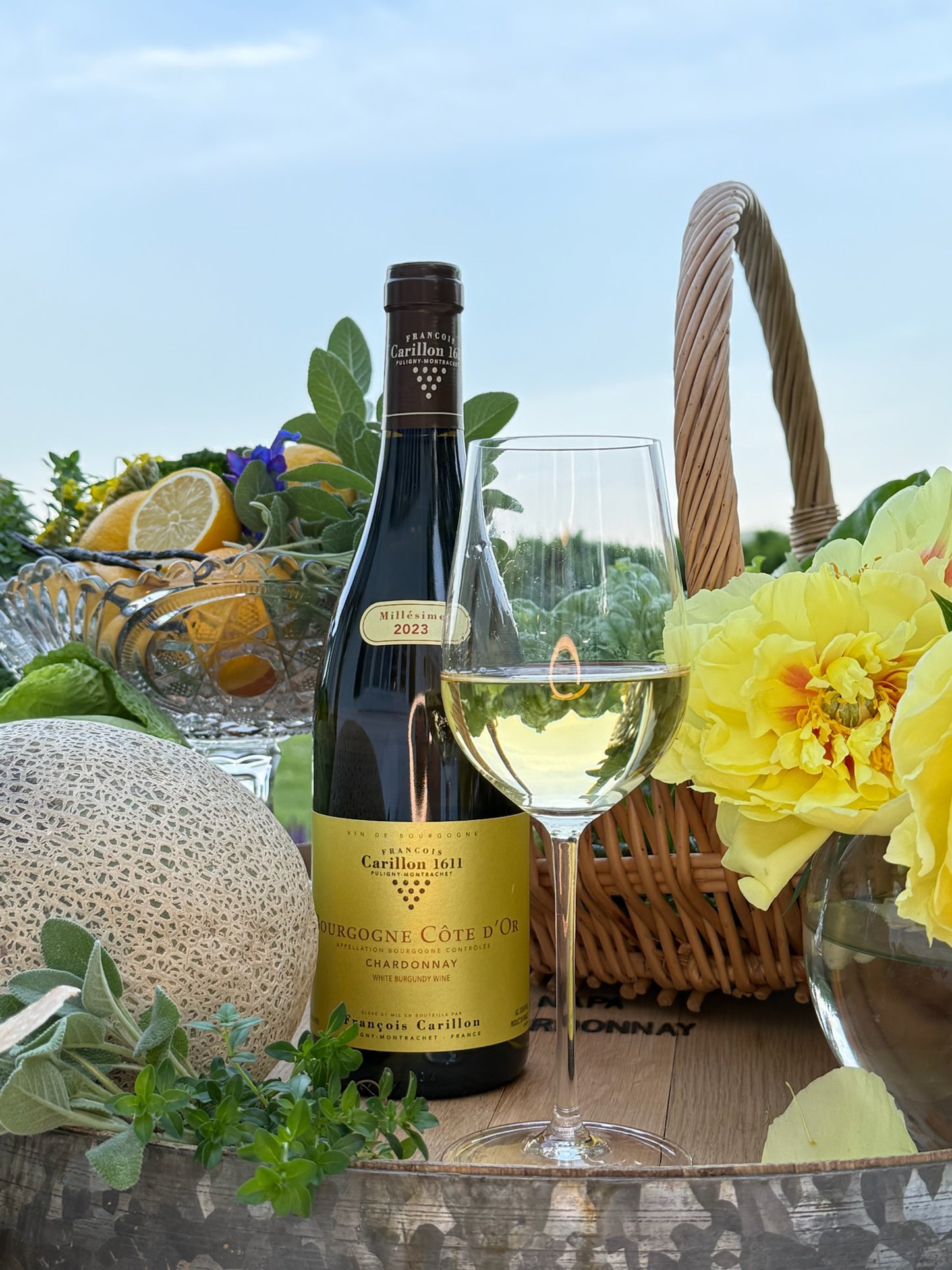 Through the Palate Experience