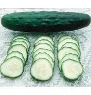 Cucumber - Organic Marketmore 1 QT - 2 plants