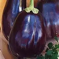Eggplant - Black Beauty Organic 1 QT - 2 plants